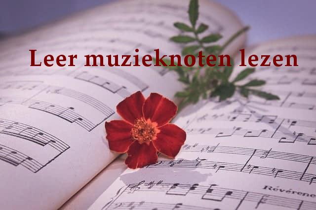 Leer muzieknoten